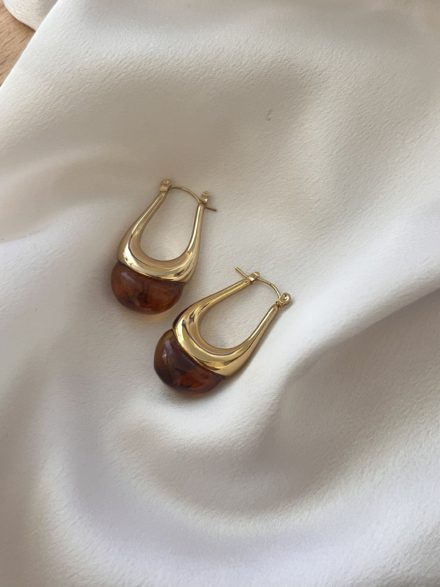 Brown earrings